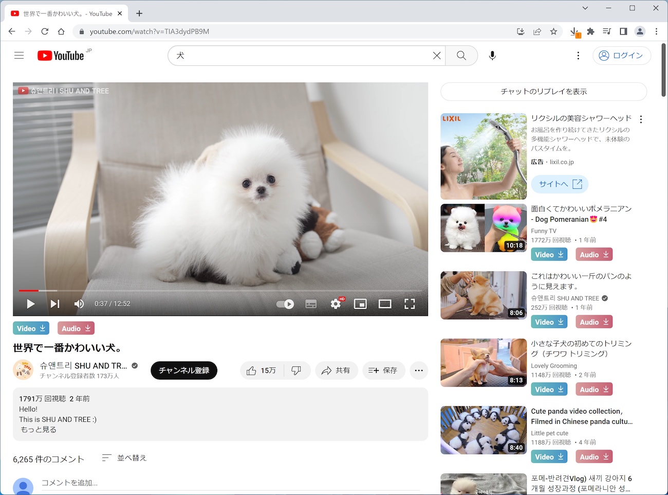 Craving ExplorerでYouTubeを表示した画面